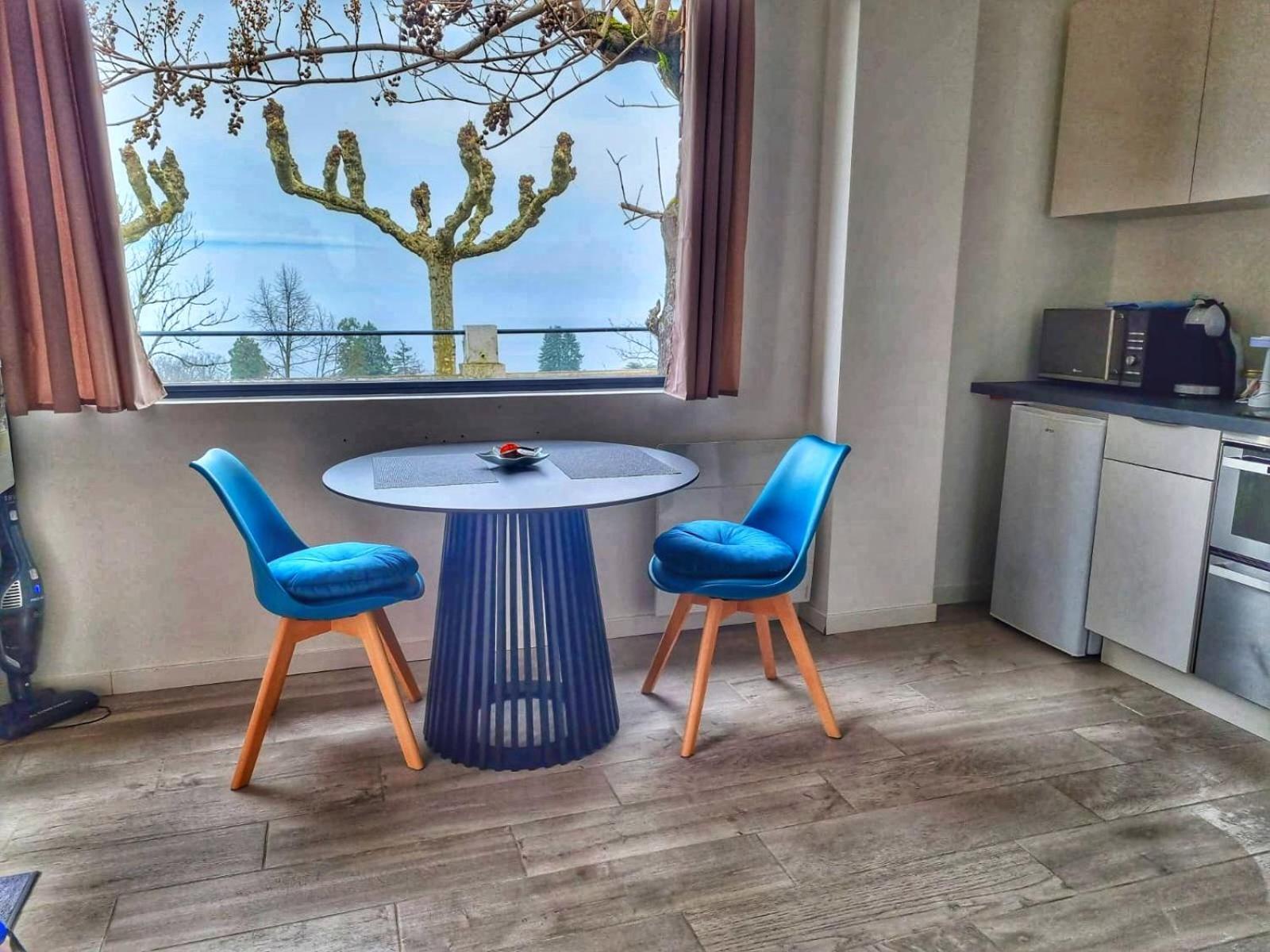 Appartement Cozy 2 Panoramique Lac Leman トノン・レ・バン エクステリア 写真